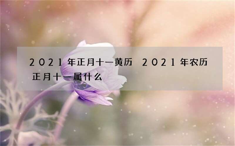2021年正月十一黄历 2021年农历正月十一属什么
